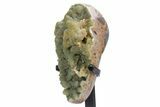 Sparkling Green Druzy Quartz Formation on Metal Stand #357201-2